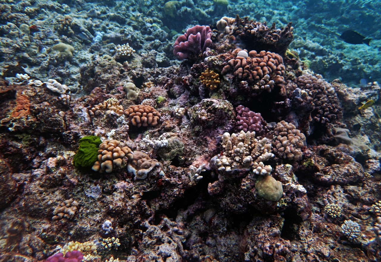 P9240470.png