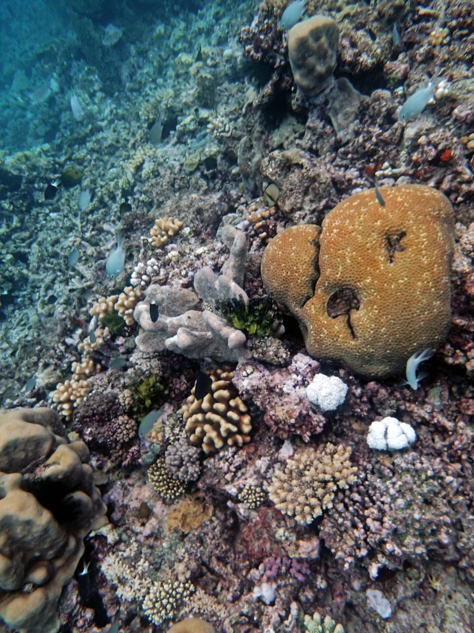P9240466.png