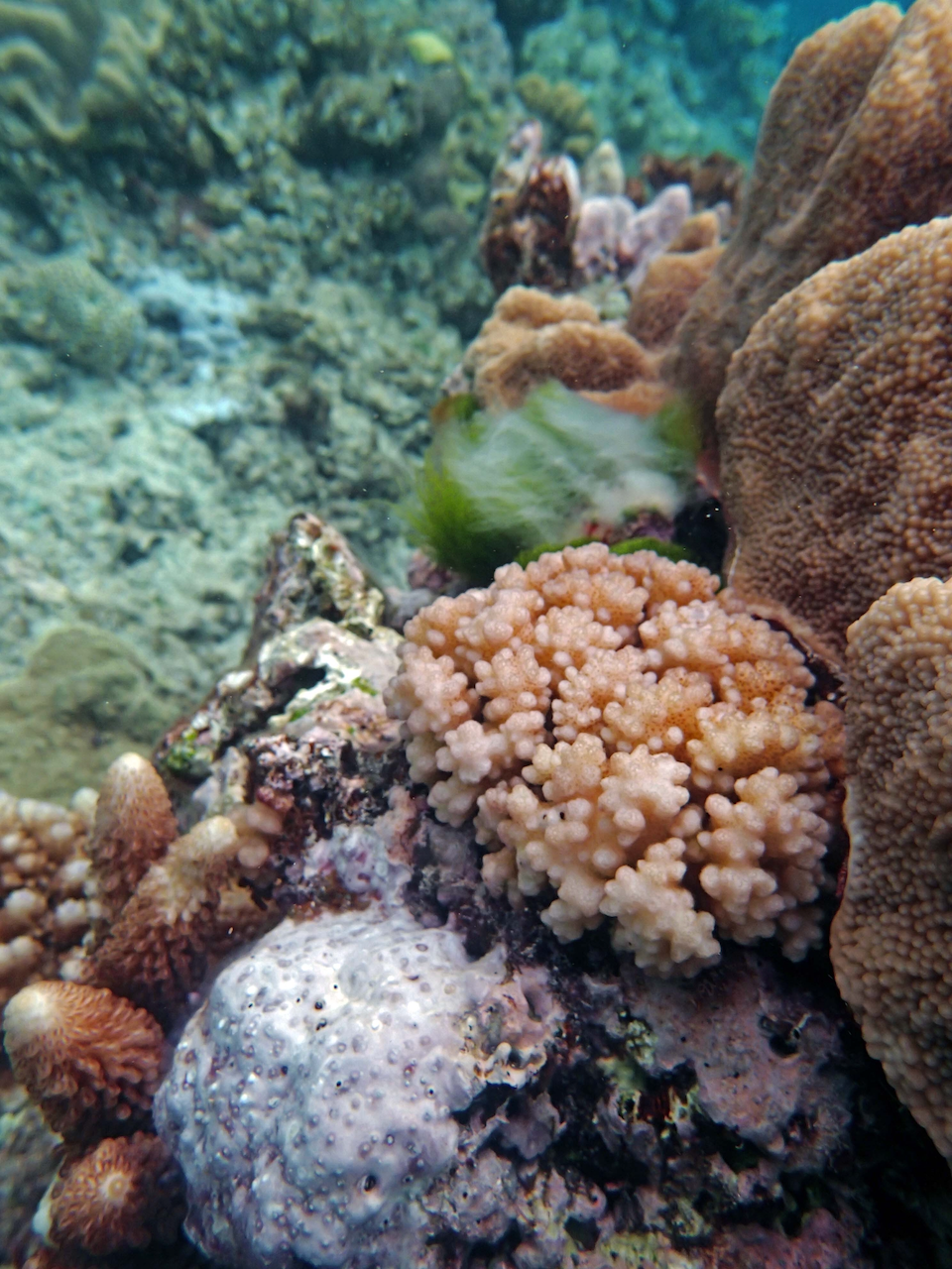 P9240477.png