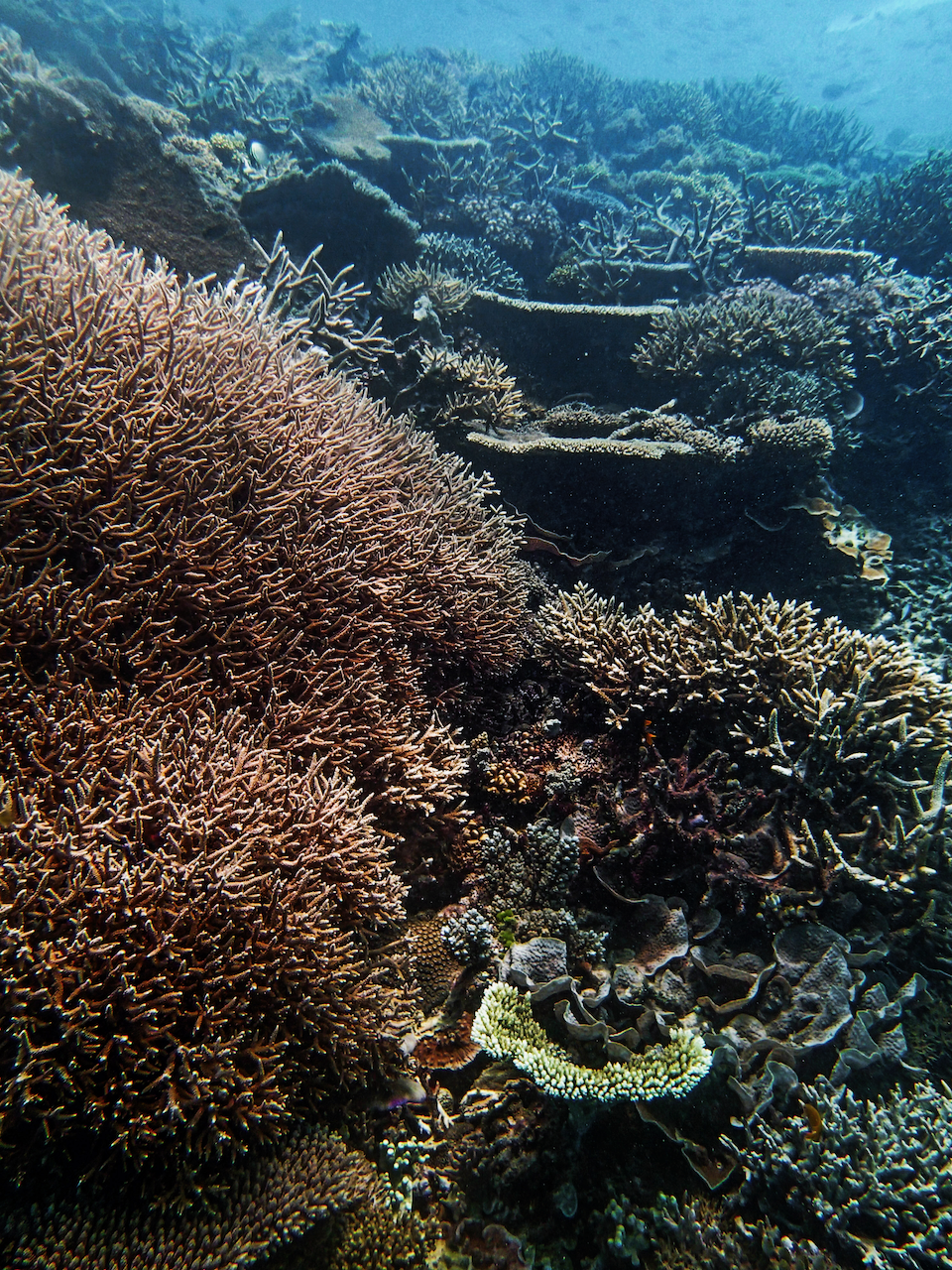 P9250354.png