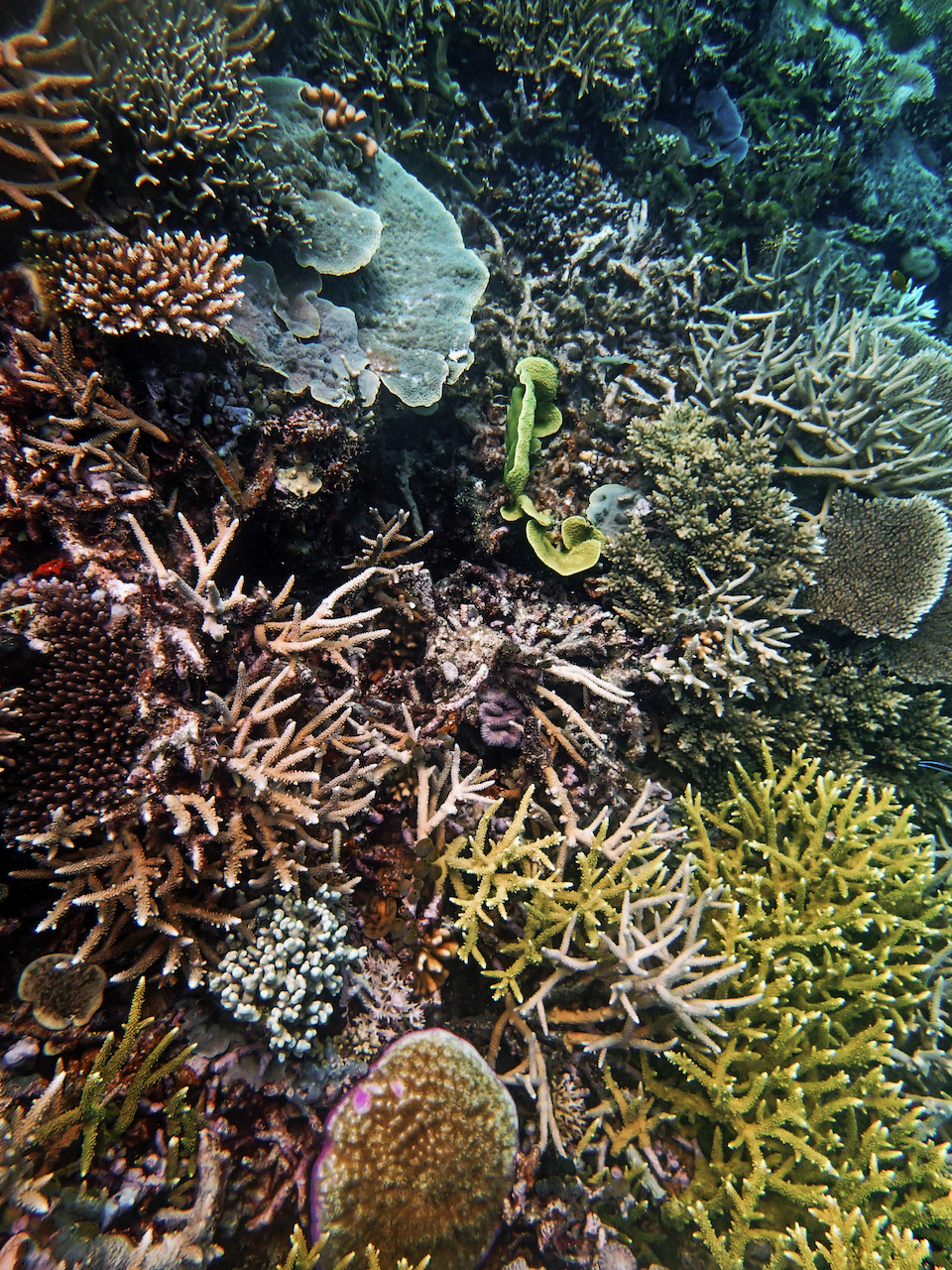 P9250363.png