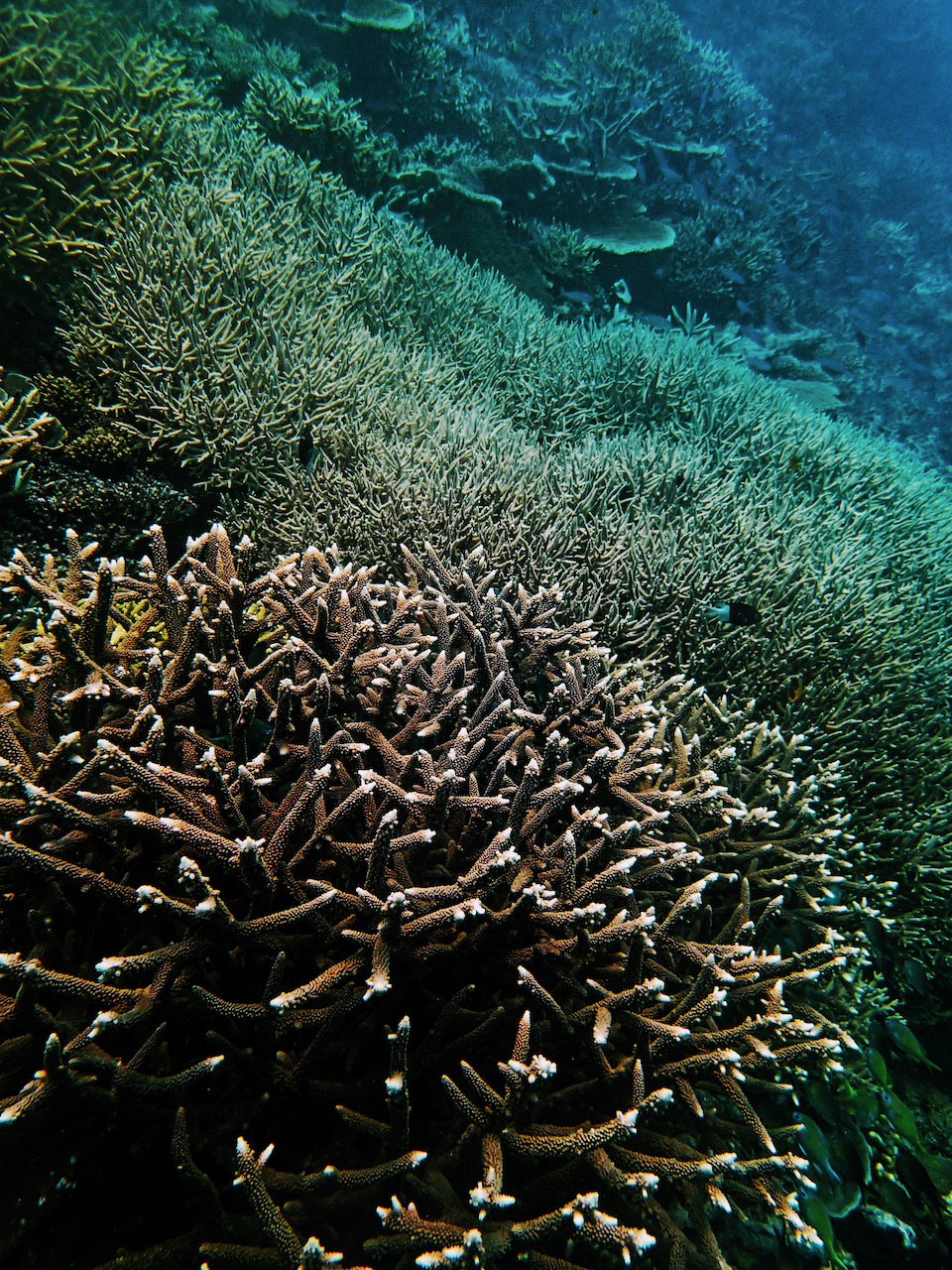 P9250356.png