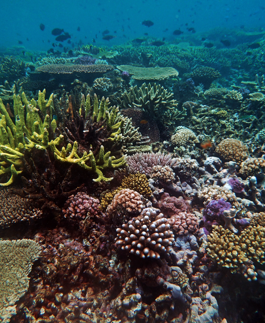 P9250381.png