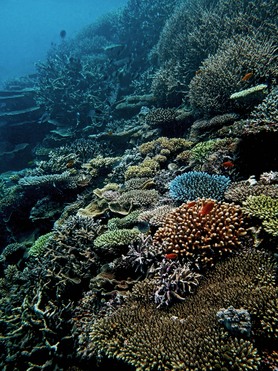 P9250353.png
