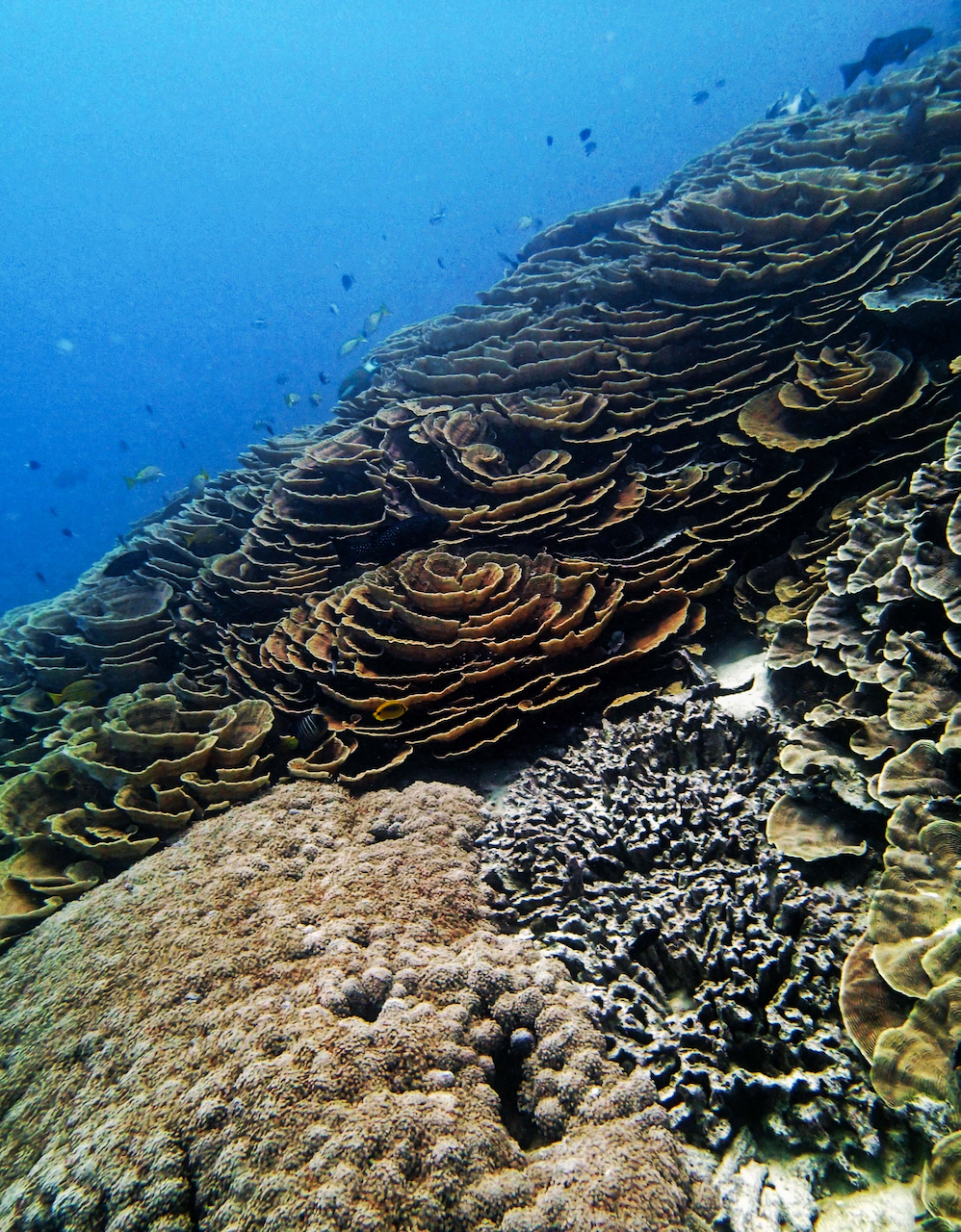 P9250315.png