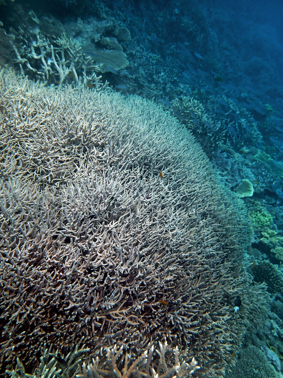 P9250357.png