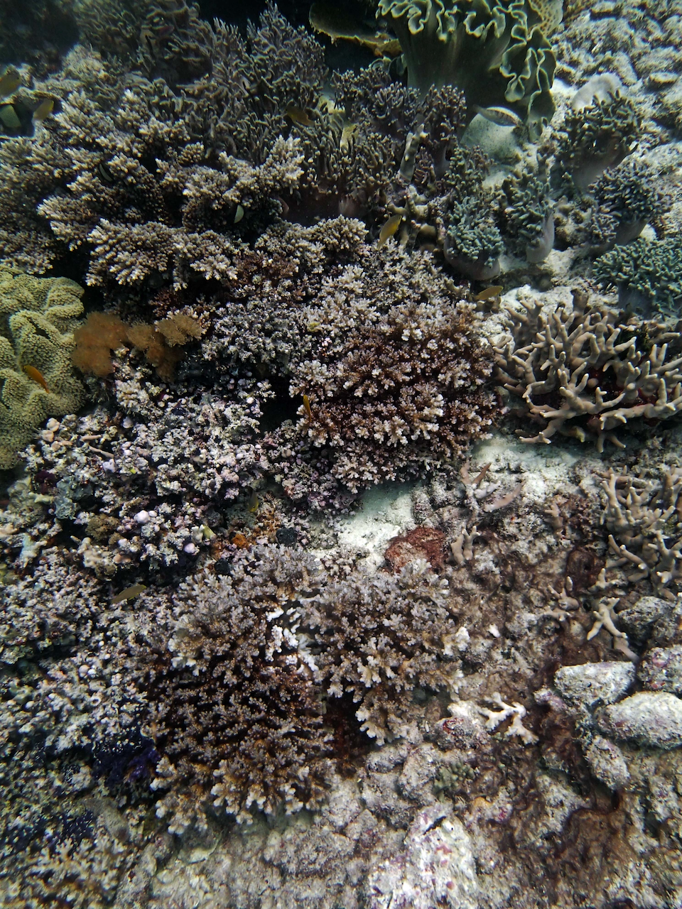 P9250304.png