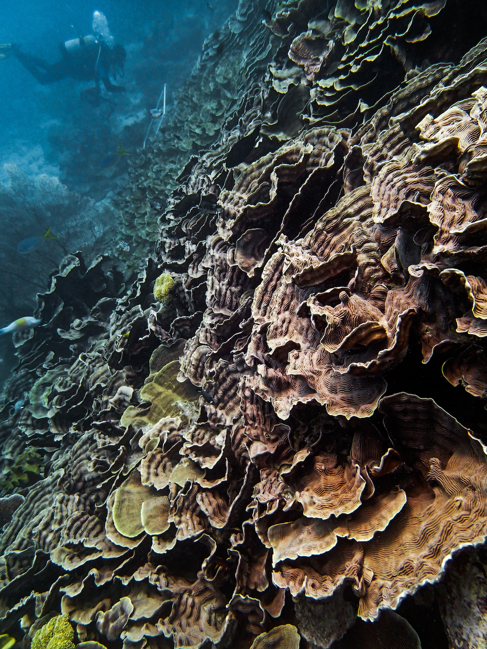 P9250321.png