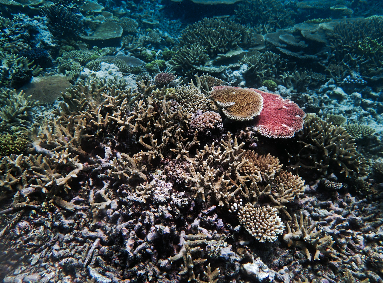 P9250366.png