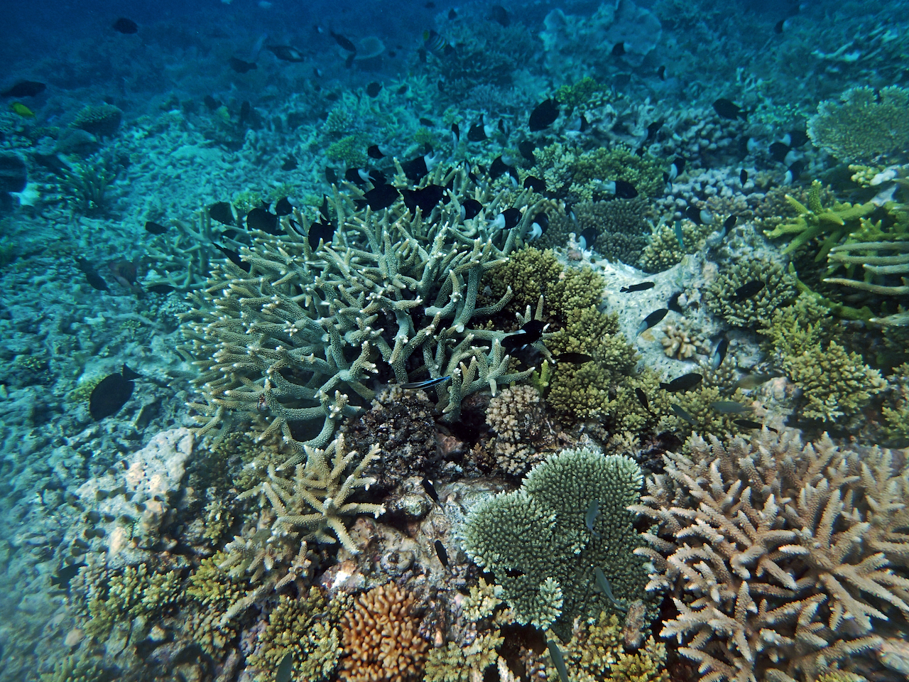 P9250382.png