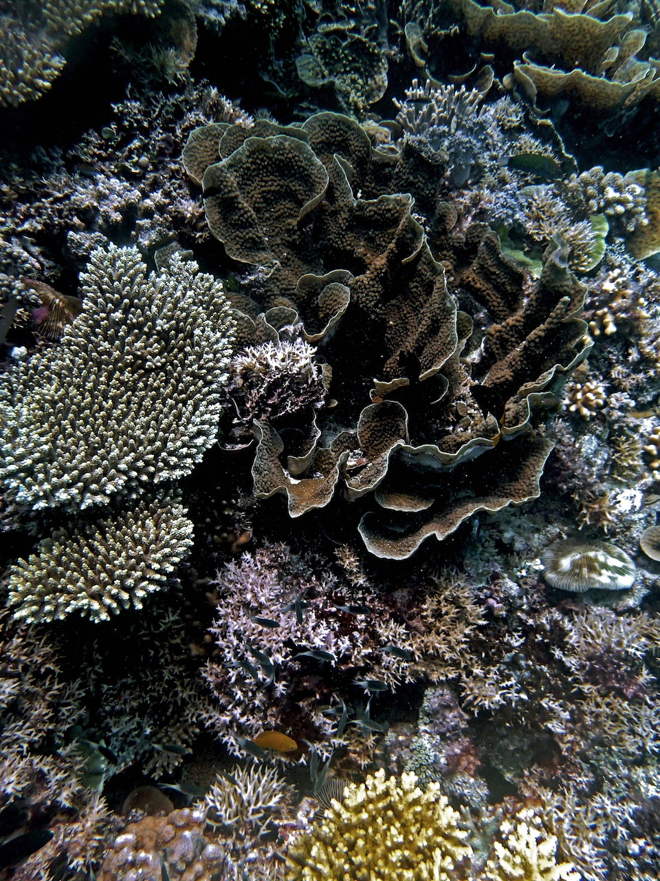 P9250350.png