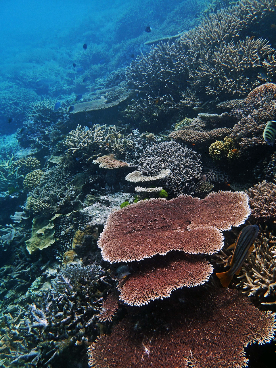 P9250355.png