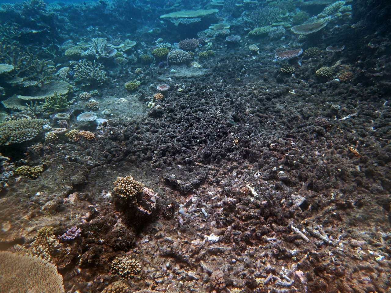 P9250375.png