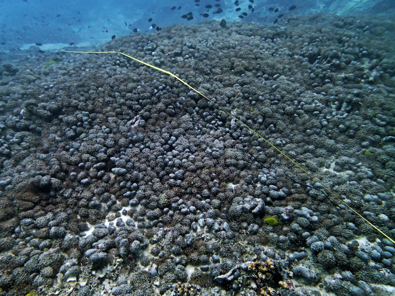 P9250318.png