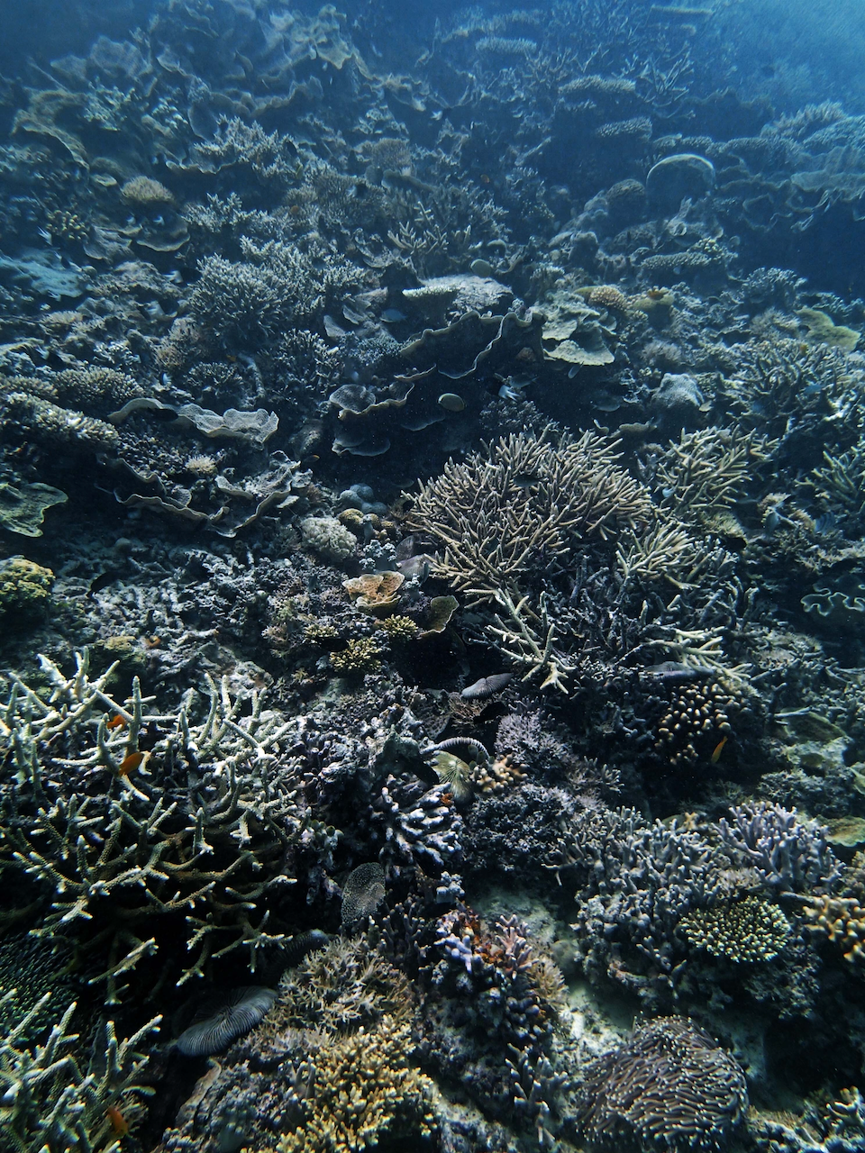 P9250336.png