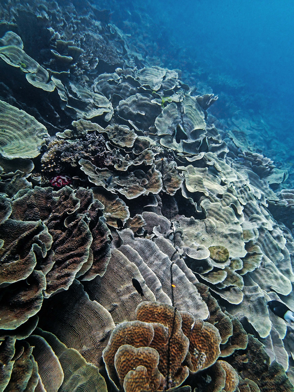 P9250325.png