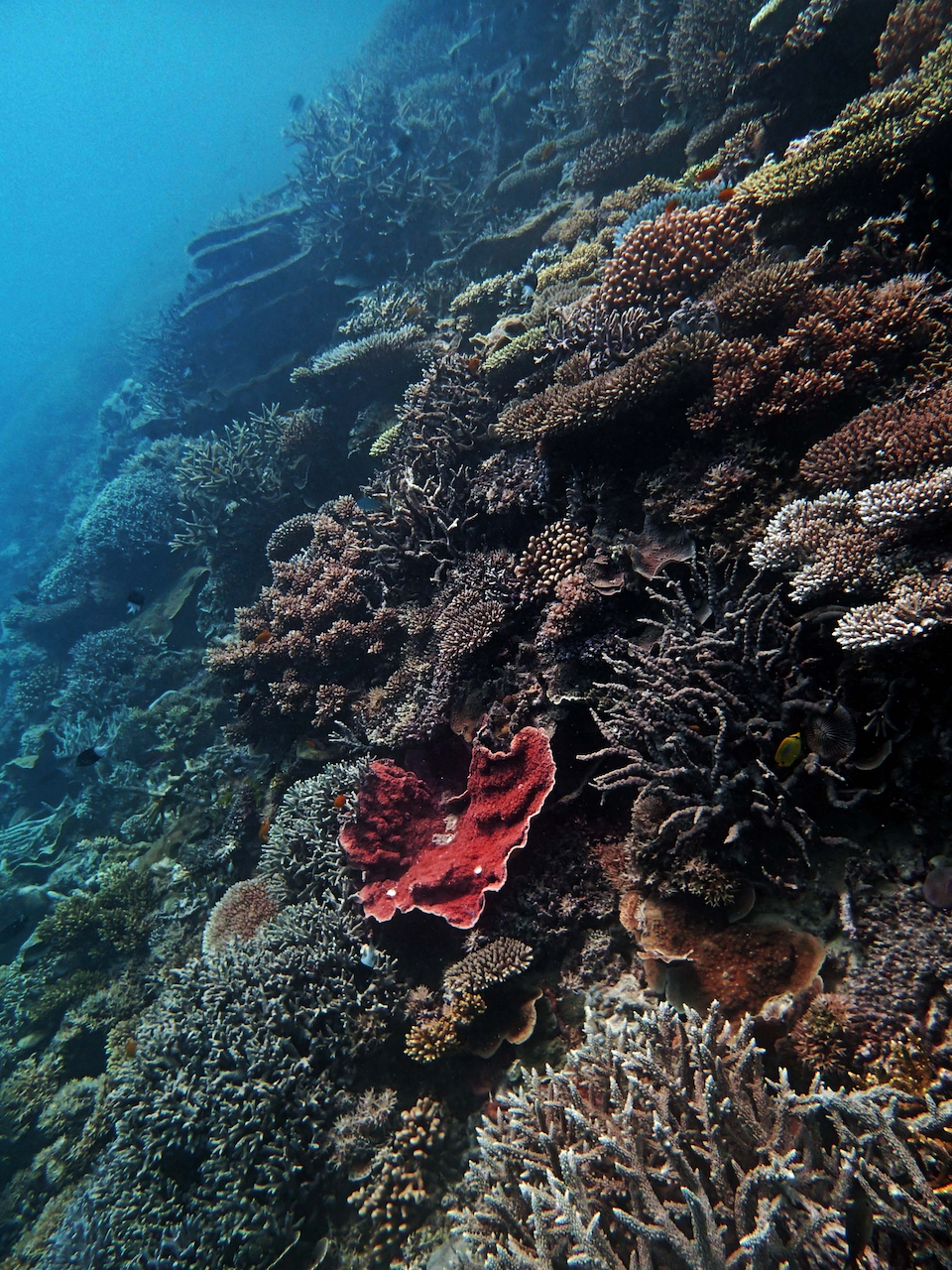 P9250352.png