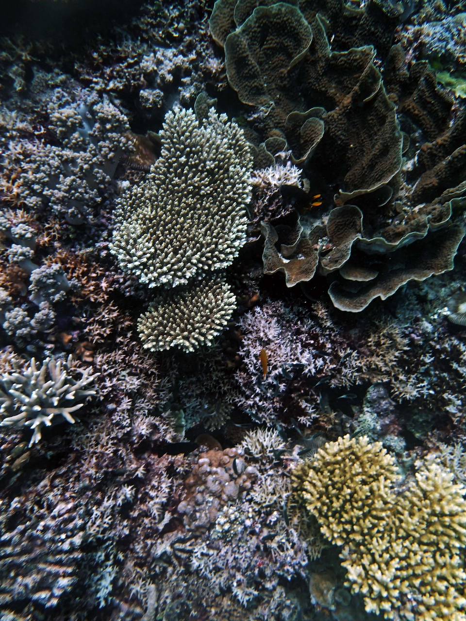 P9250351.png