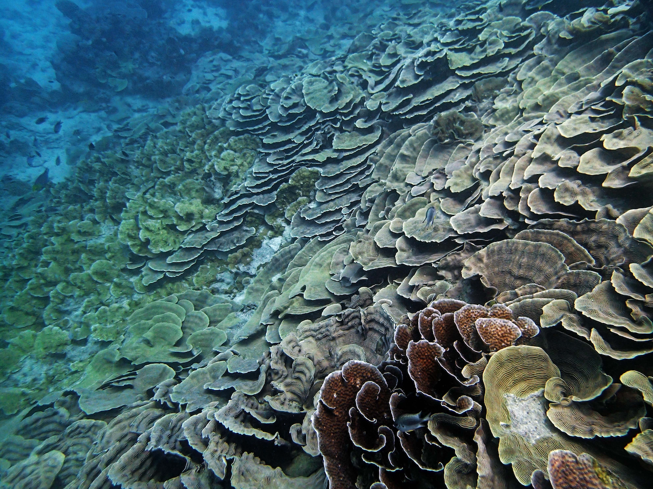 P9250326.png