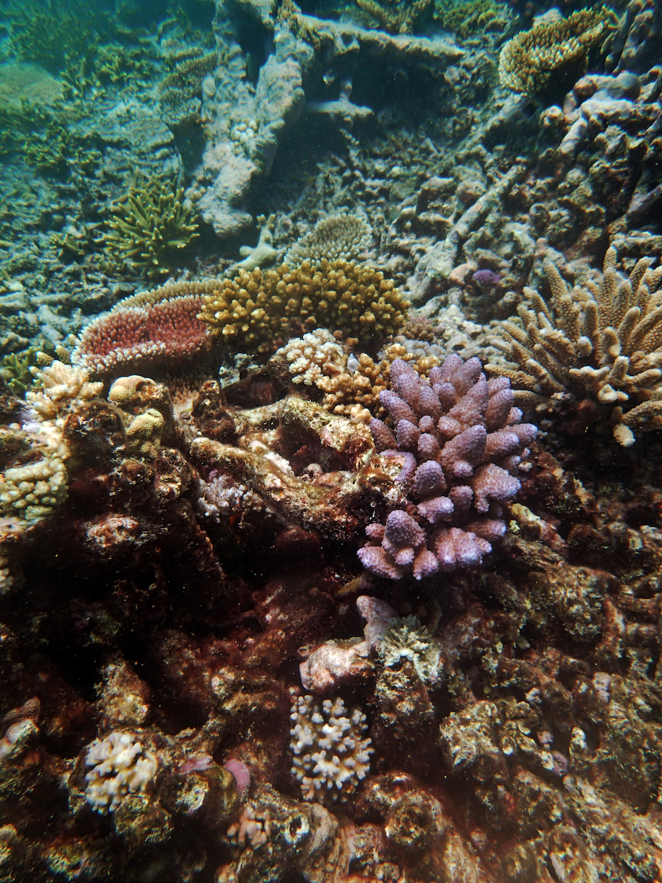 P9250379.png