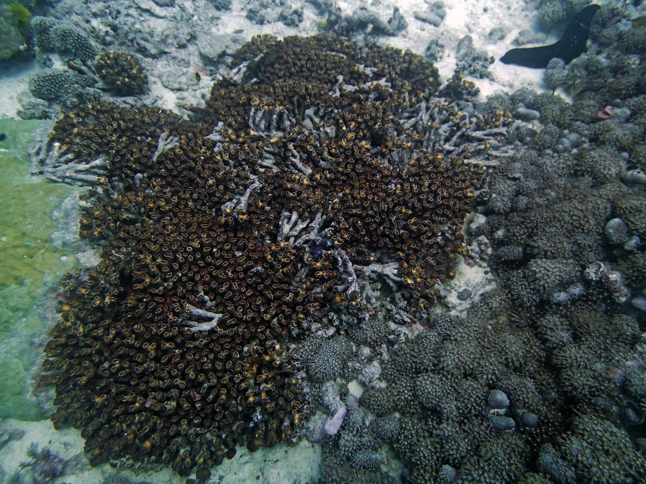 P9250316.png