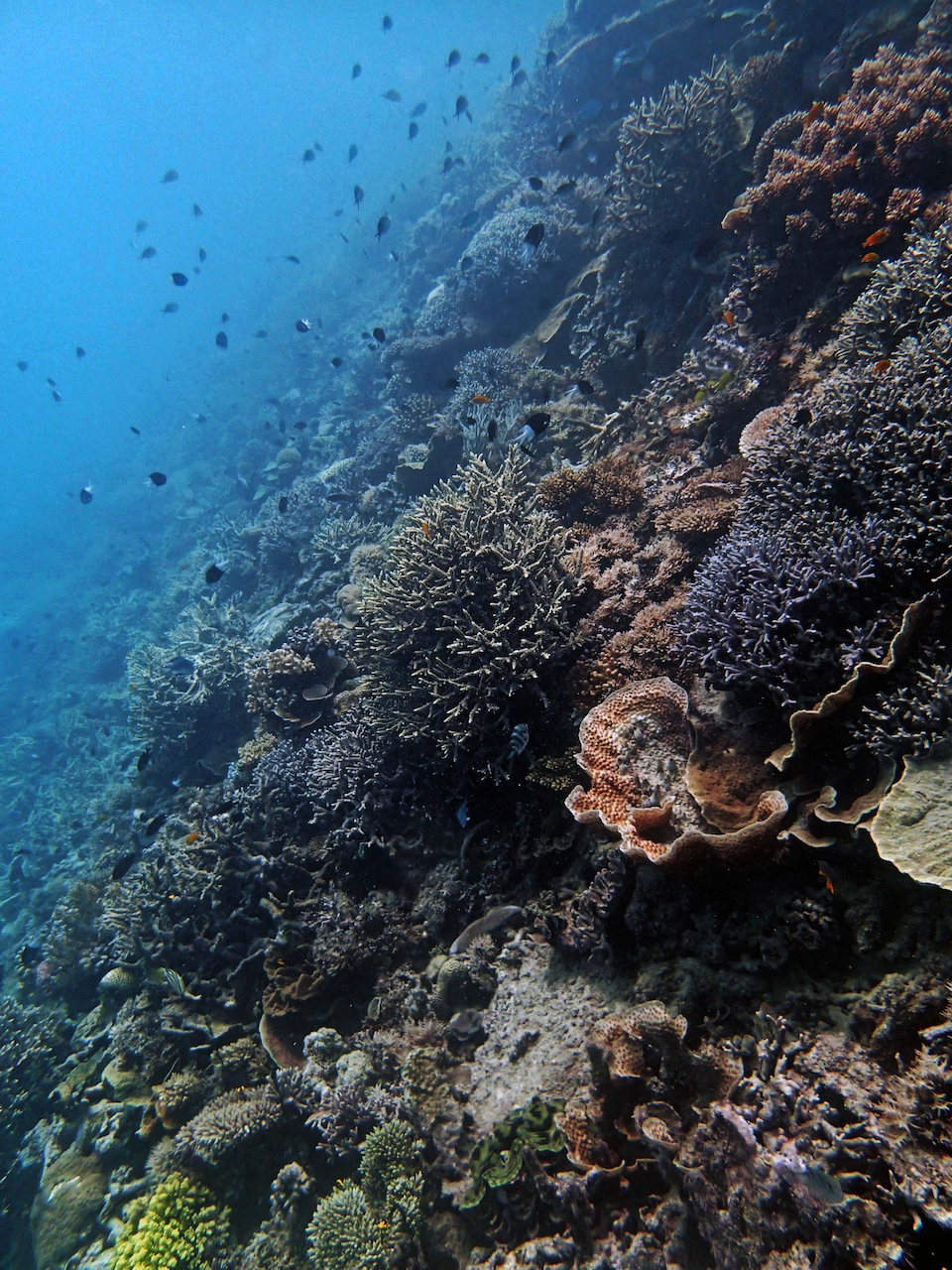 P9250343.png