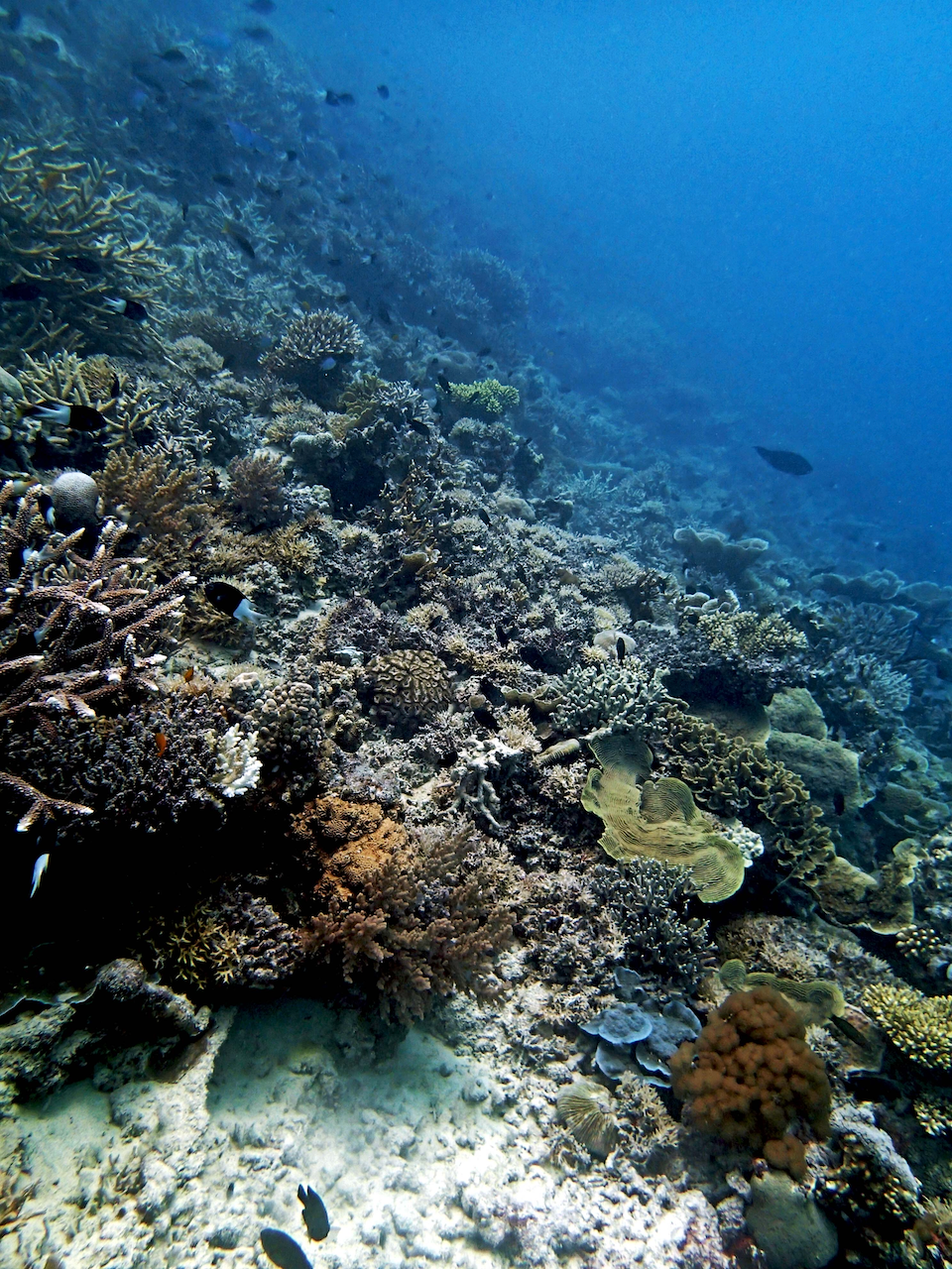 P9250335.png
