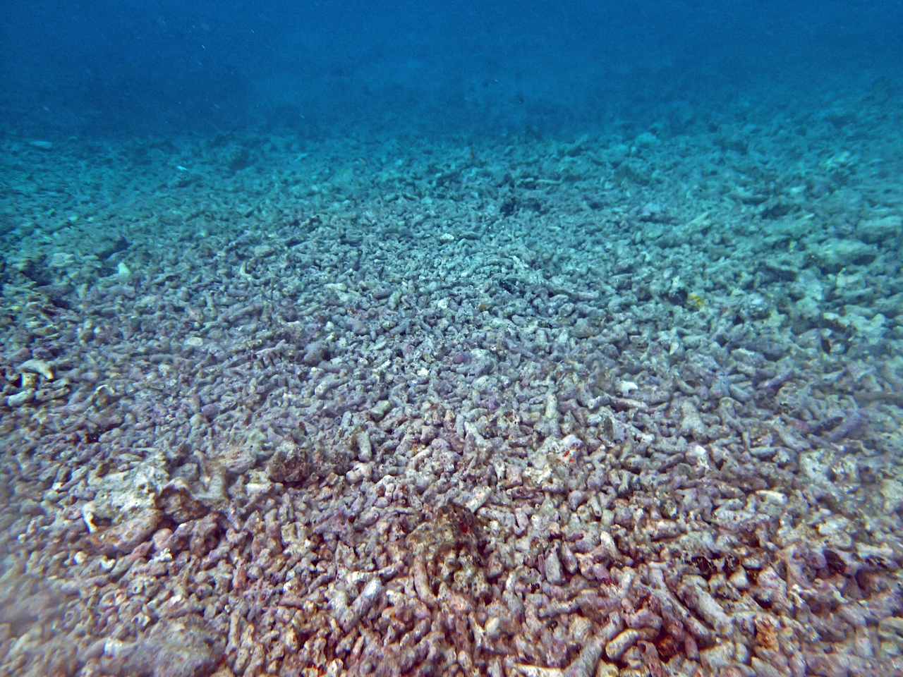P9250385.png