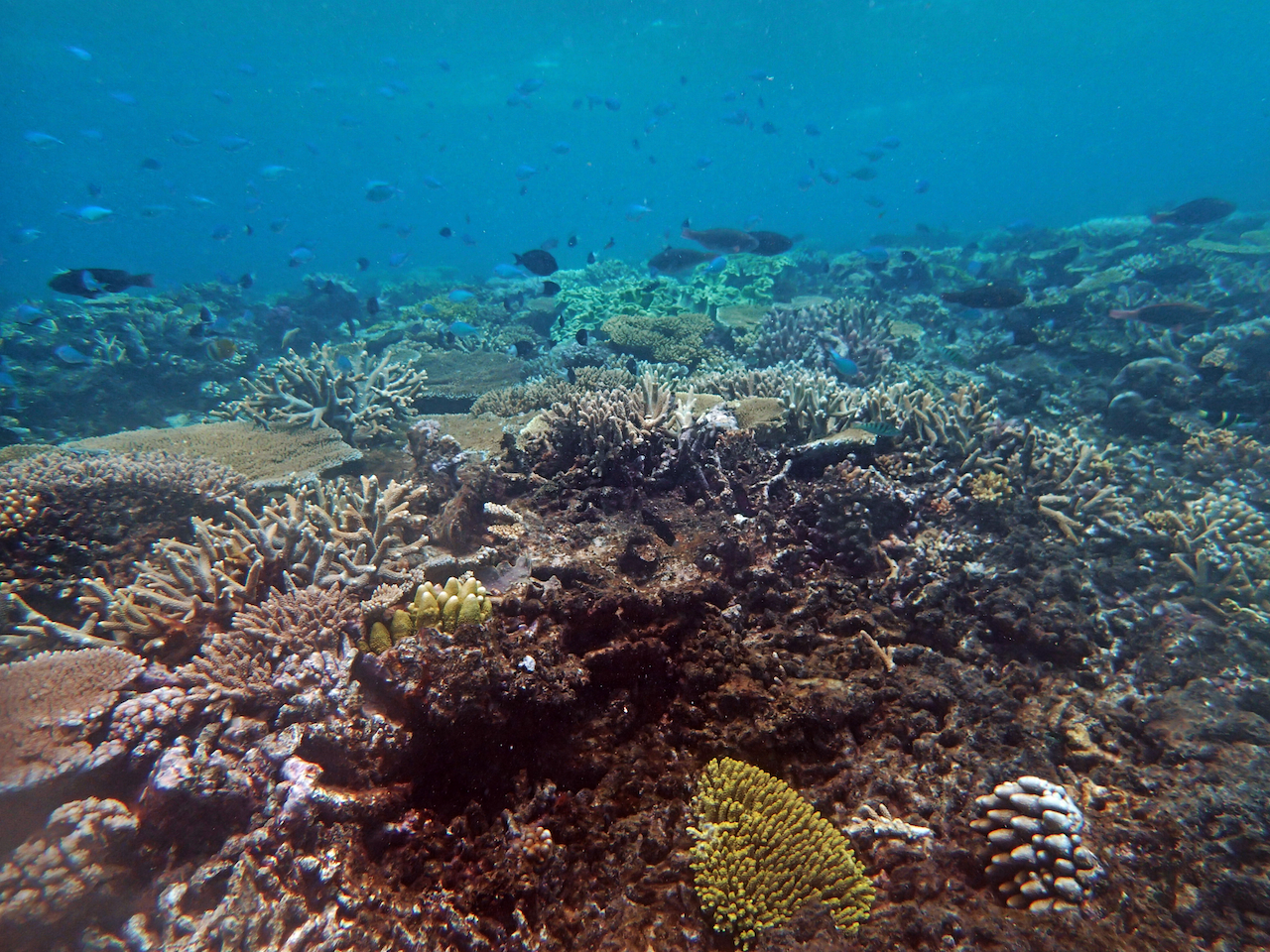 P9250380.png