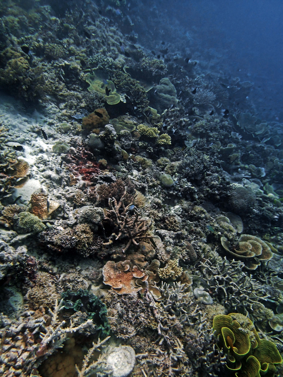 P9250334.png