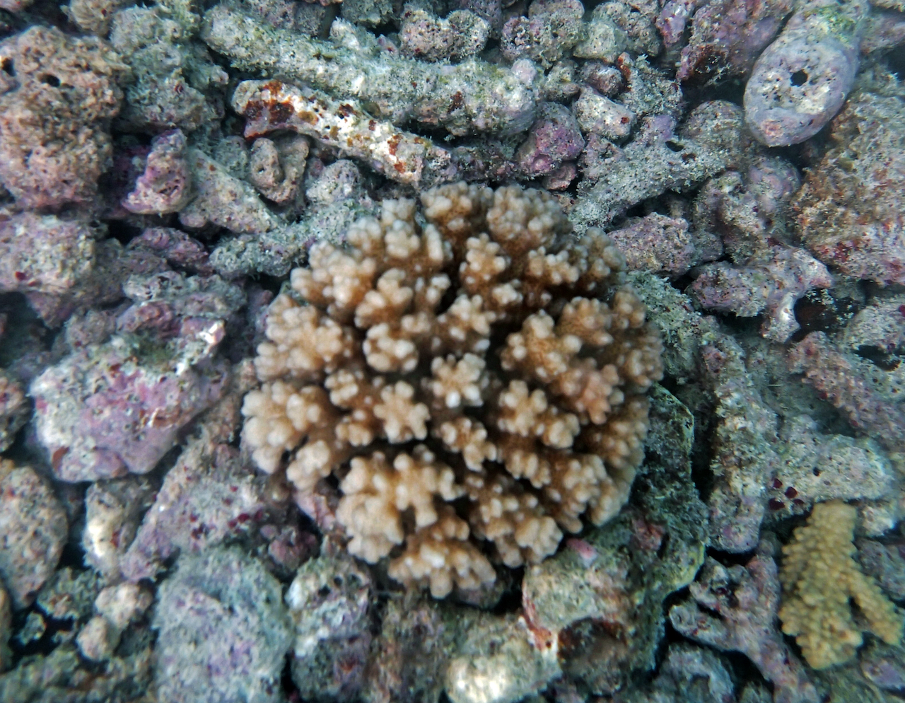 P9250384.png