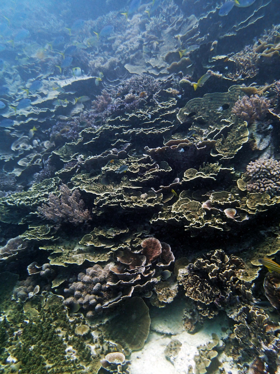 P9250313.png