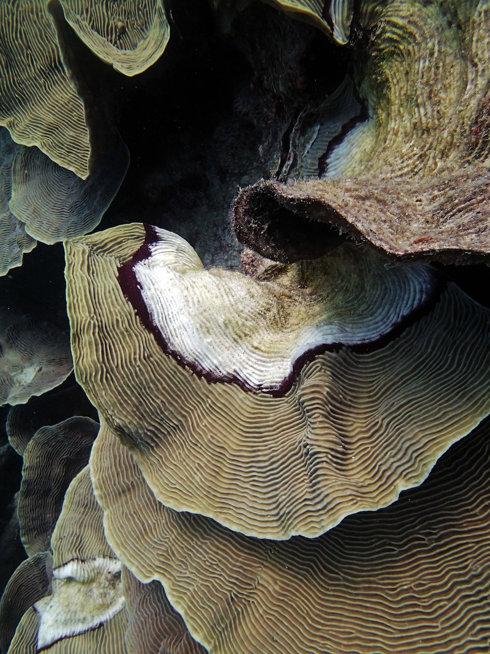 P9250324.png