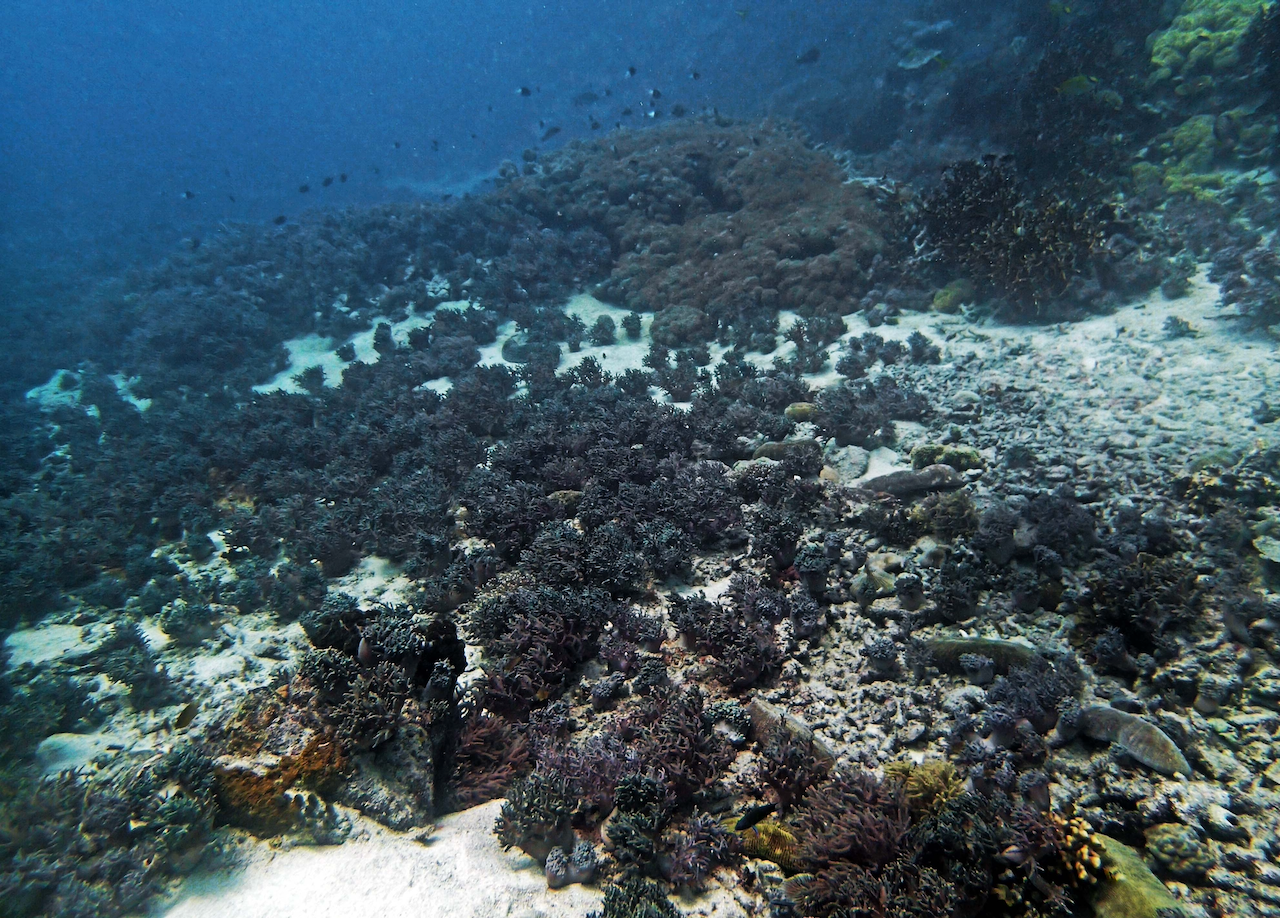 P9250312.png