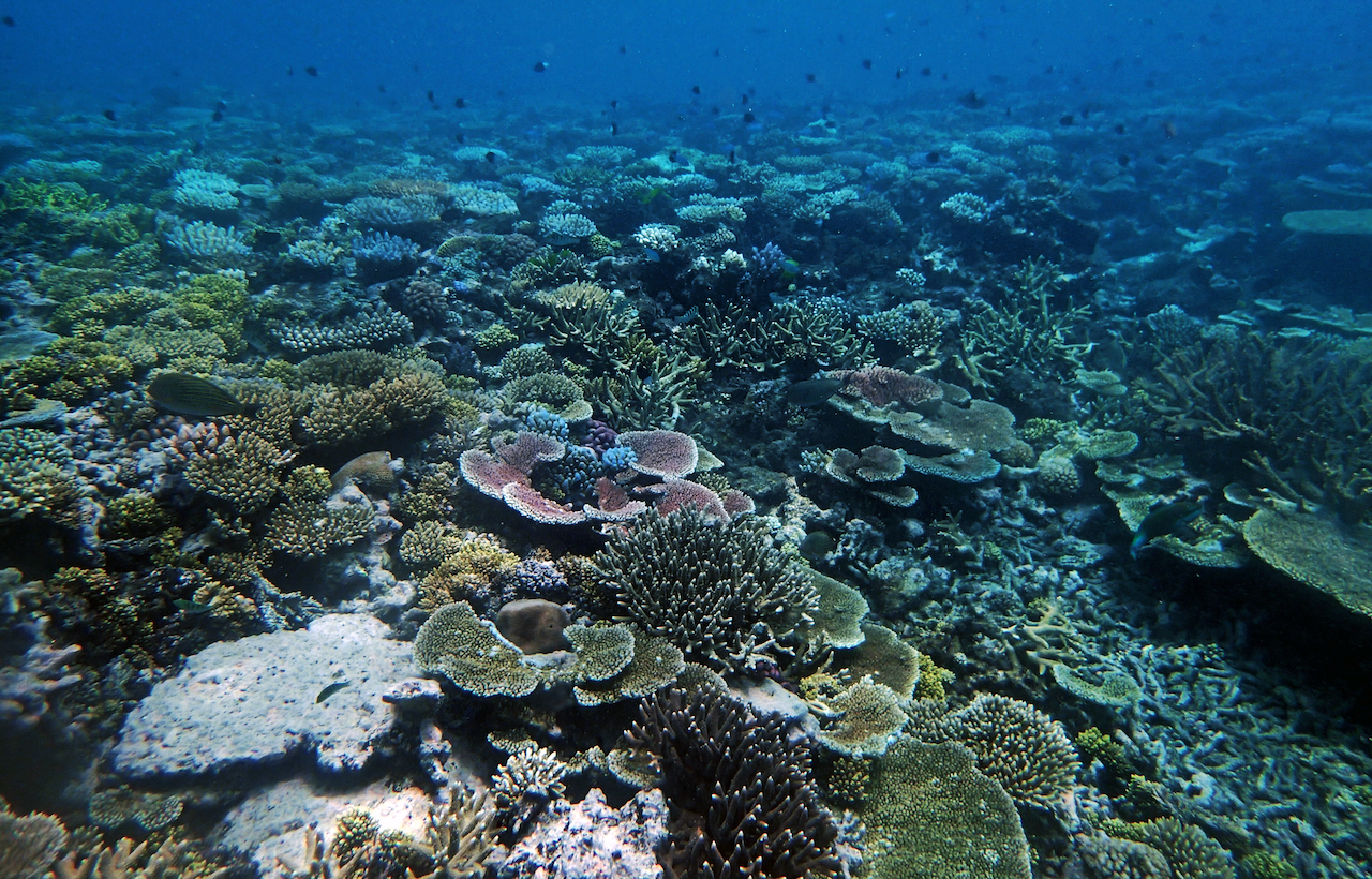 P9250370.png