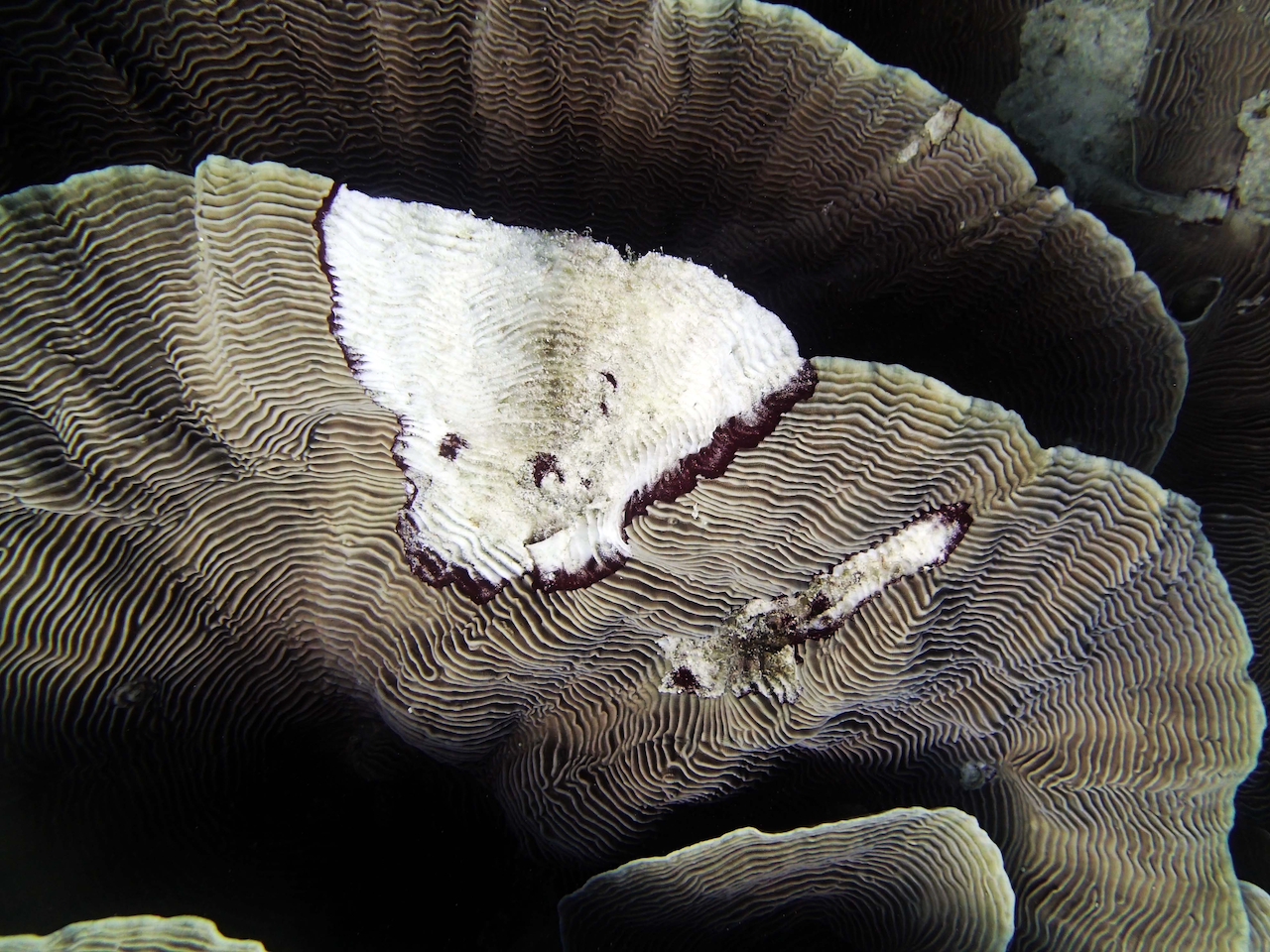 P9250323.png