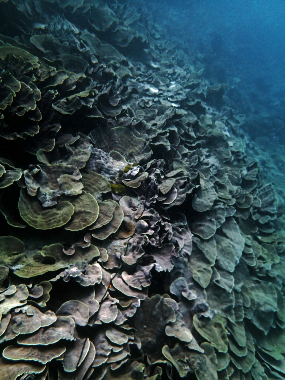 P9250328.png