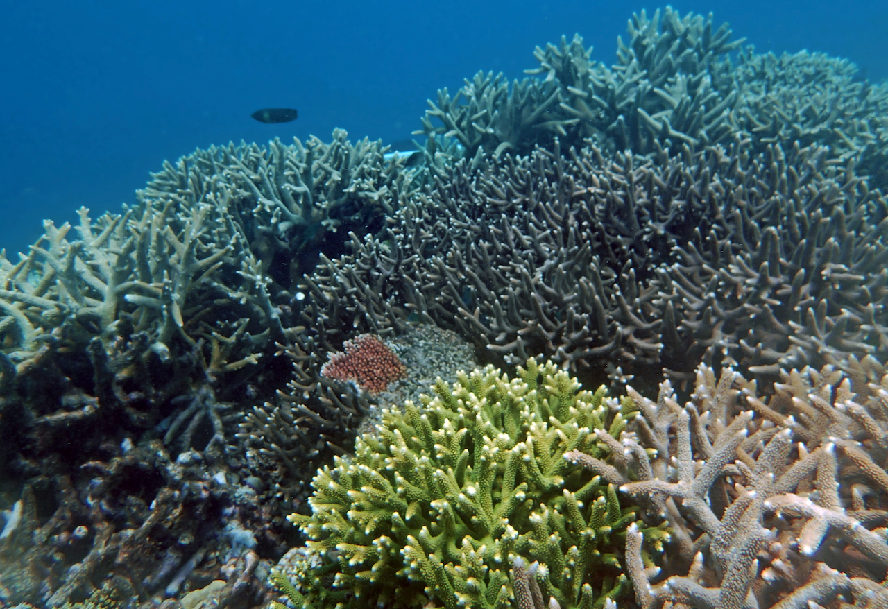 P9250374.png