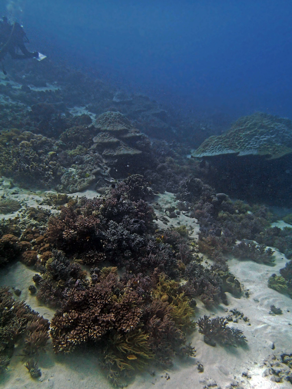 P9250310.png