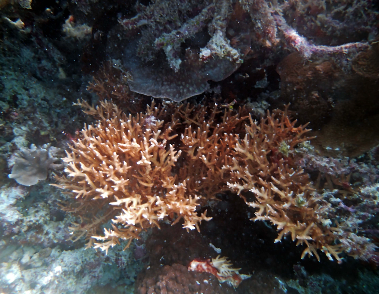 P9250360.png