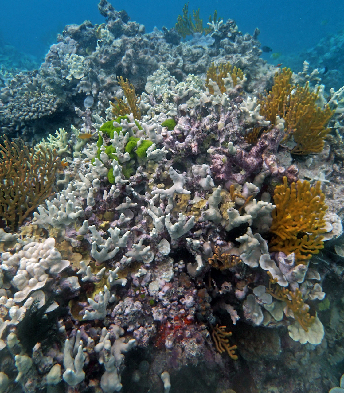 P9250424.png
