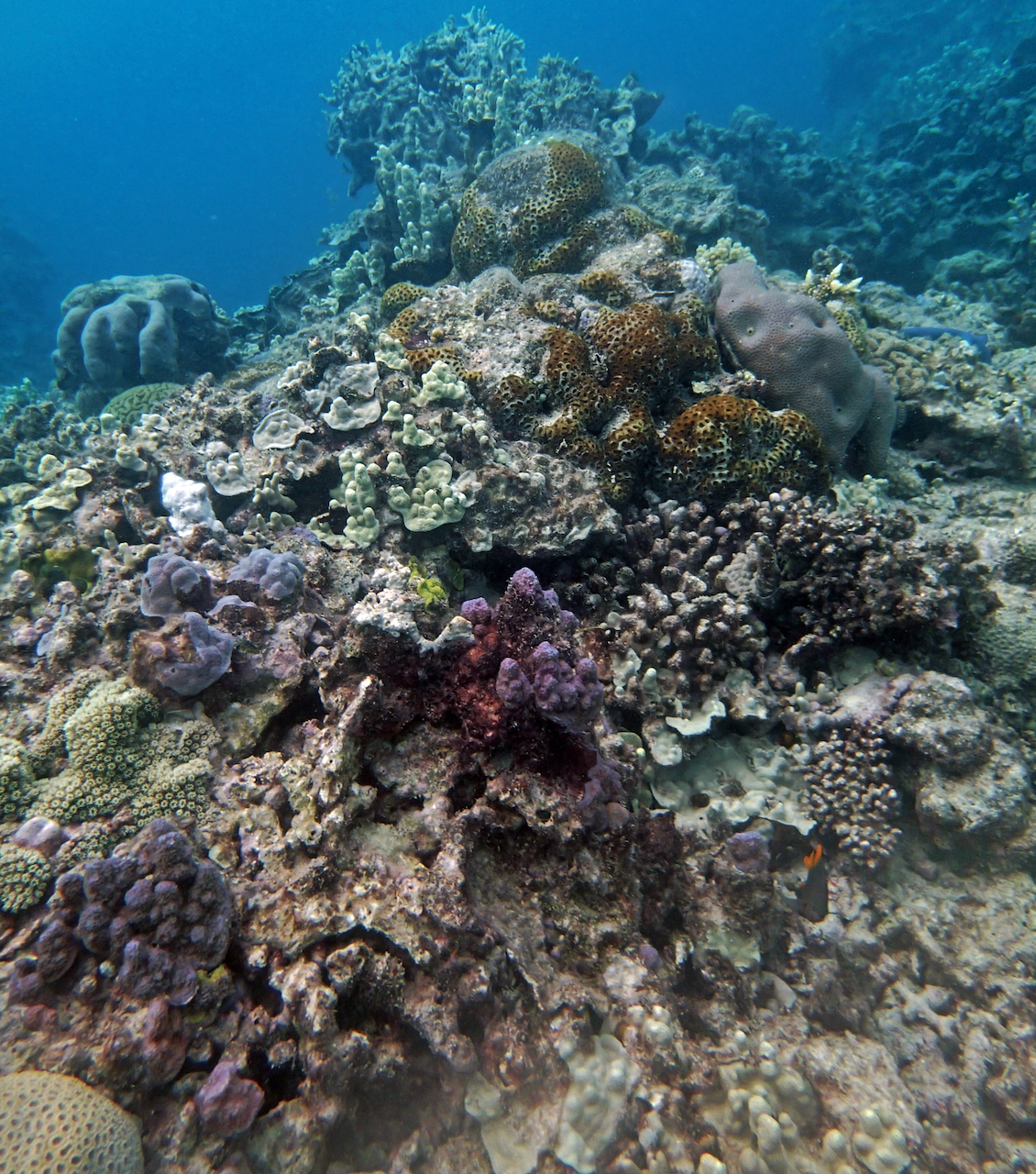 P9250421.png