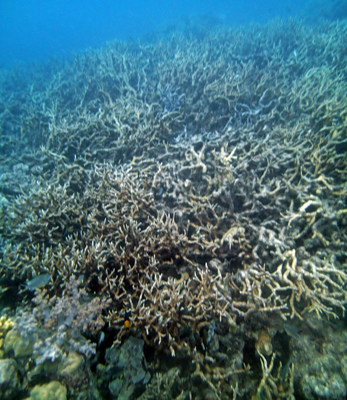 P9250418.png