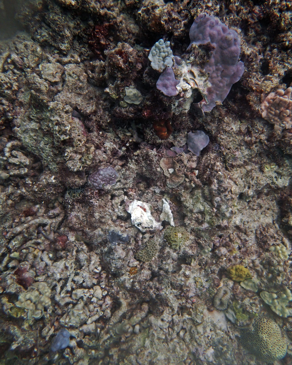 P9250420.png