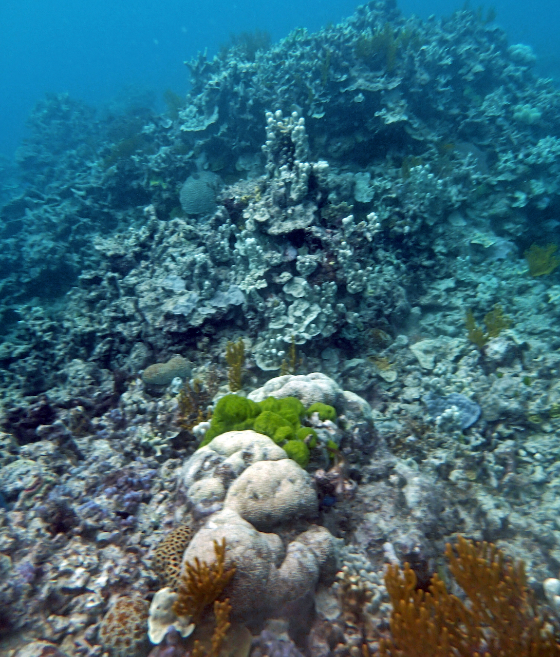 P9250422.png