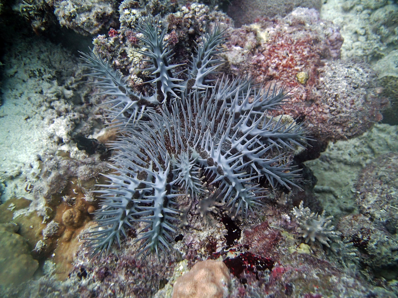 P9250403.png