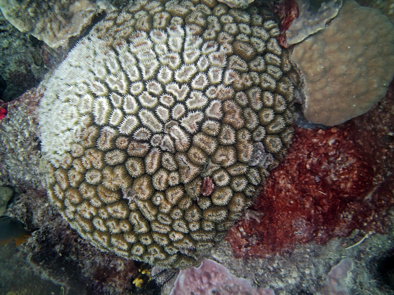 P9250410.png