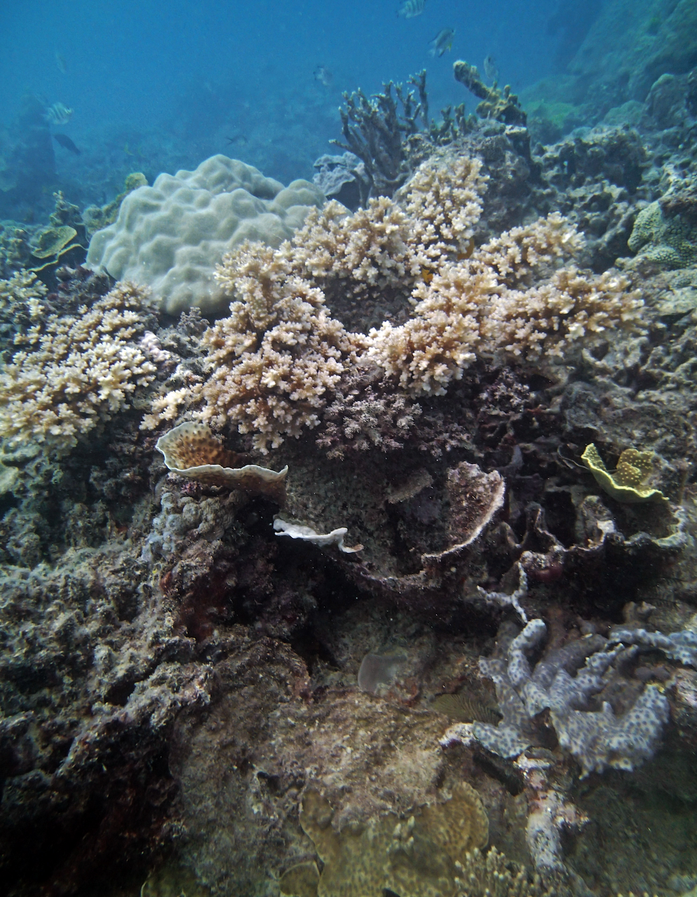 P9250411.png