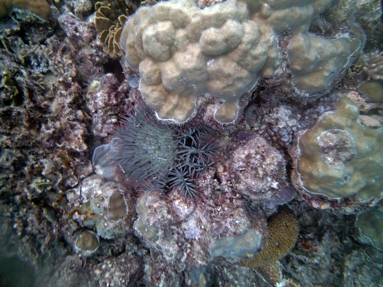 P9250417.png