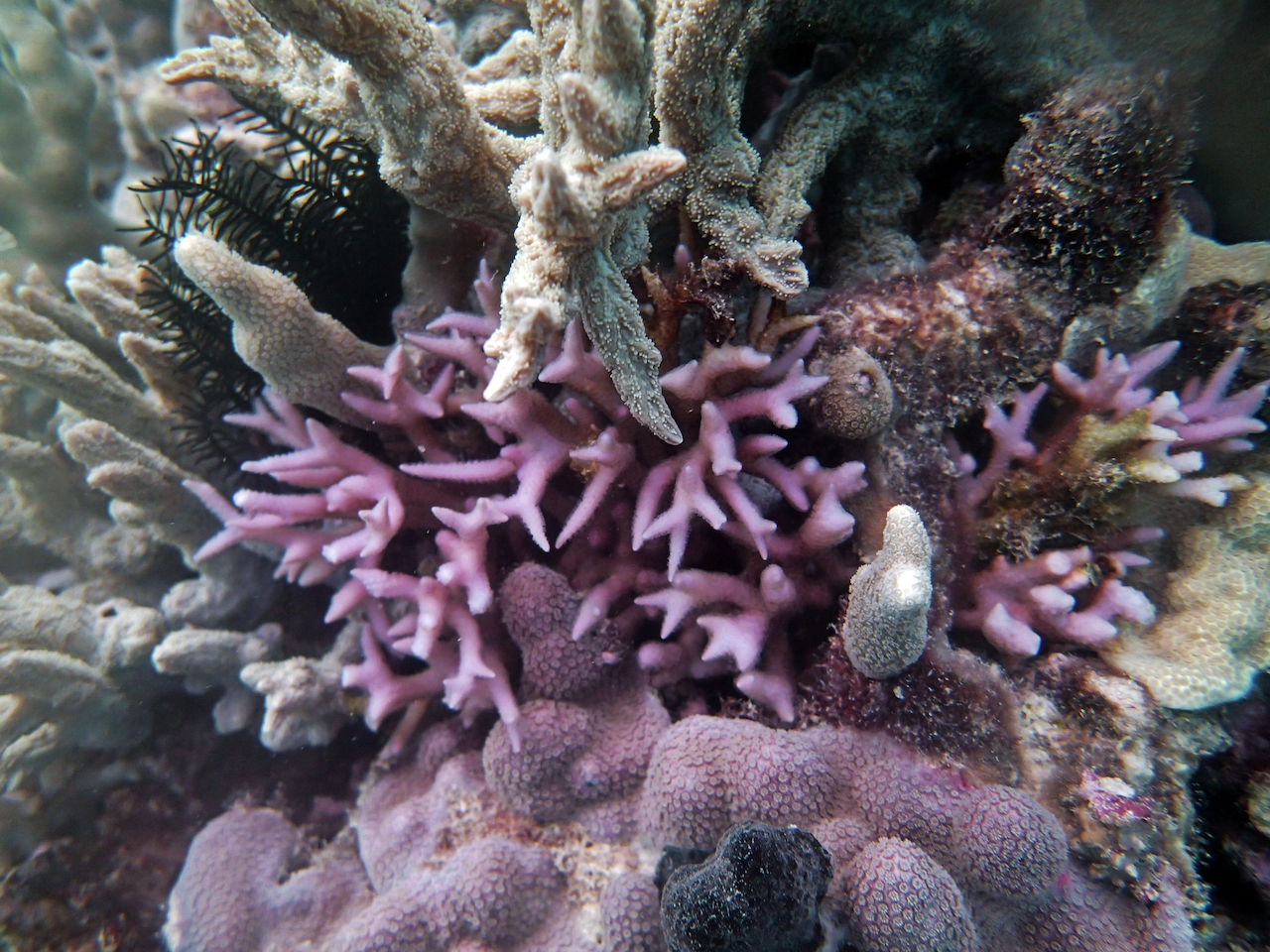 P9250423.png